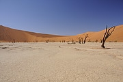 Dead Vlei