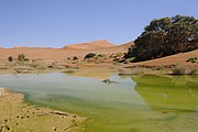 Sossusvlei