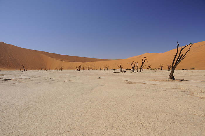 Dead Vlei