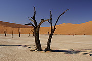 Namib