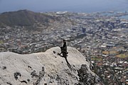 Kape Town from Table Mountain