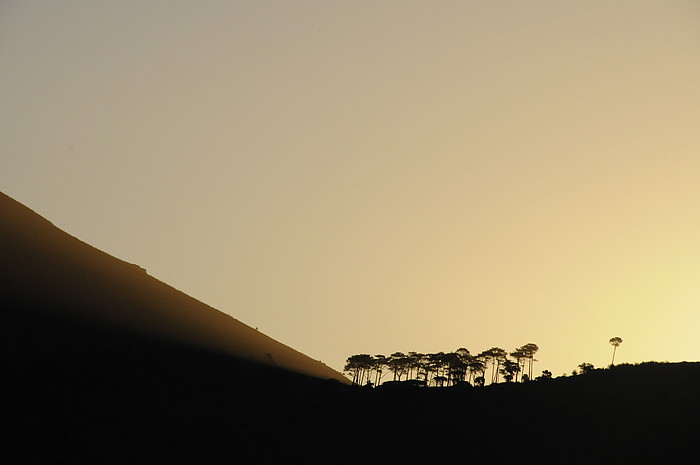 Lions Head from Table Mountain