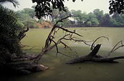 Keoladeo-Nationalpark