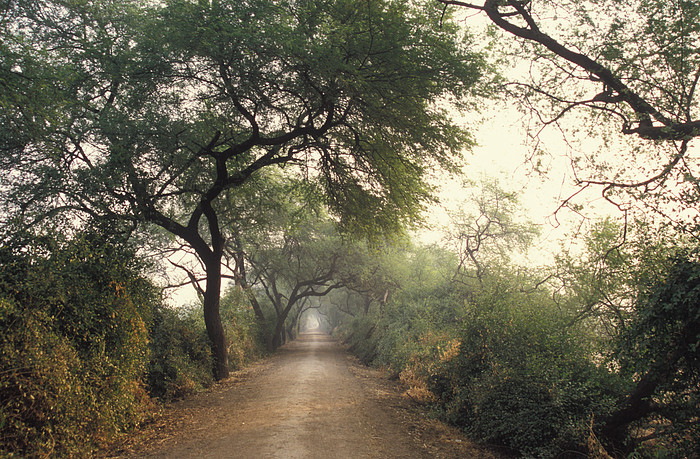 Keoladeo-Nationalpark