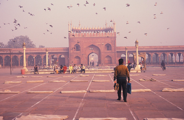 Jami Masjid (Delhi)