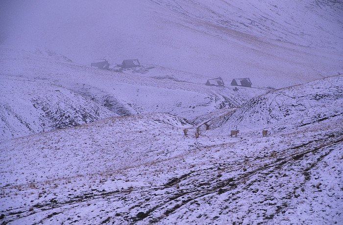 Col du Glandon