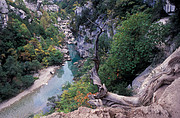 Verdon