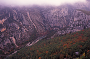 Verdon