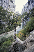 Canyon du Verdon