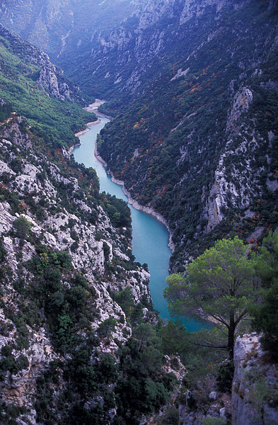 Verdon