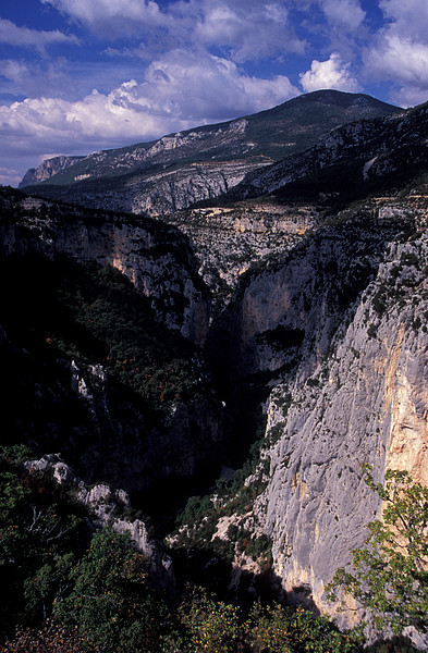 Verdon