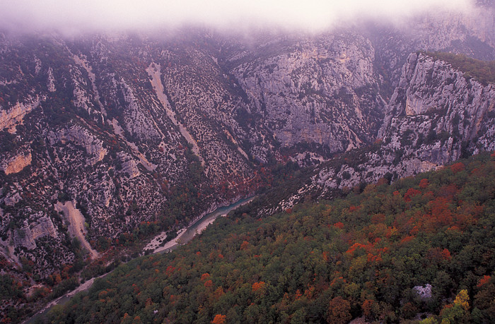 Verdon