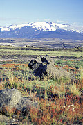 Hekla