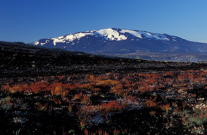 Hekla