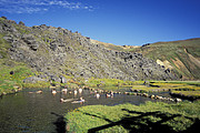 Landmannalaugar