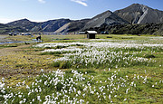 Landmannalaugar