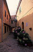 Poggio