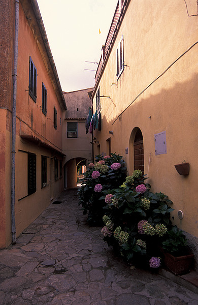 Poggio
