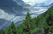 Aletschgletscher