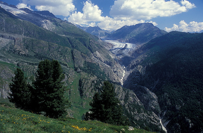 Aletschgletscher