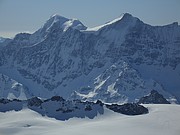 Nesthorn