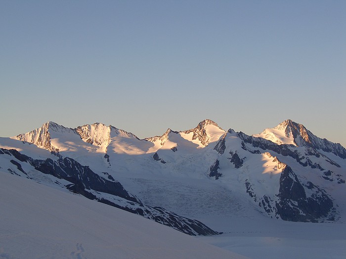 Fiescherhrner Finsteraarhorn