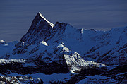 Finsteraarhorn