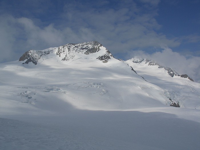 Rosenhorn