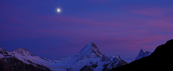 Schreckhorn