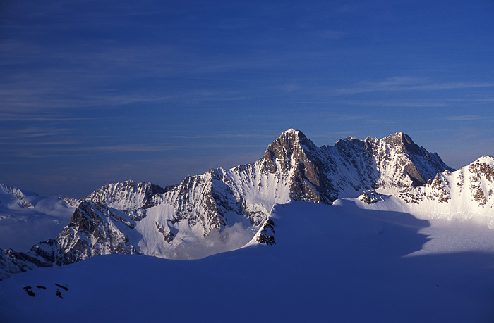 Schreckhorn