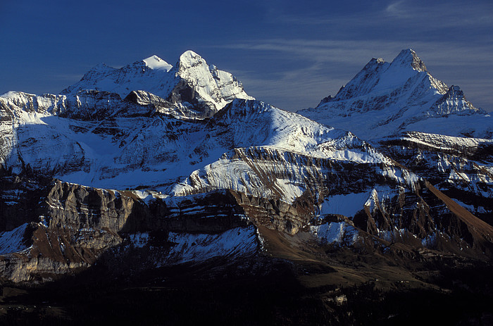 Schreckhorn