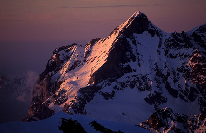 Wetterhorn