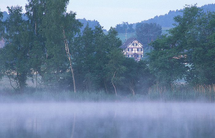 Bodennebel