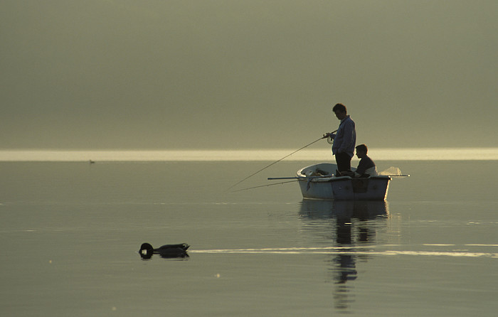 Fischer auf dem Greifensee