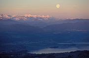 Zürichsee