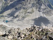 Blockgletscher im Chriegalptal