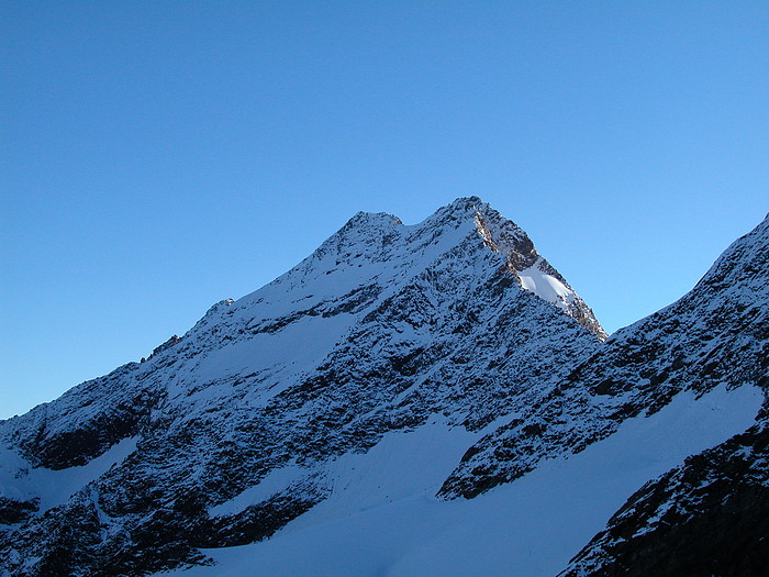 Lagginhorn