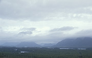 Pacific Rim National Park