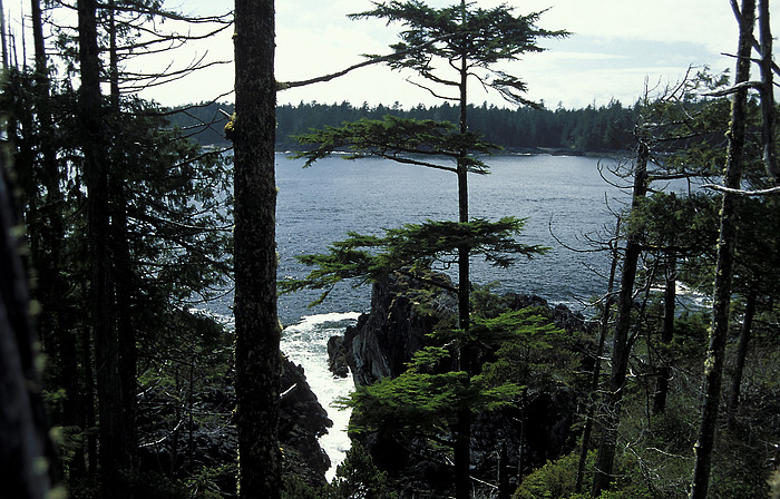 Kste auf Vancouver Island