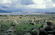 Vancouver Skyline