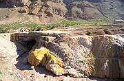 Natur Brücke