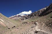 Aconcagua Park