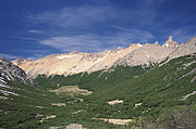 Rucao Tal