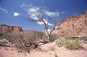 Tanampaya Schlucht
