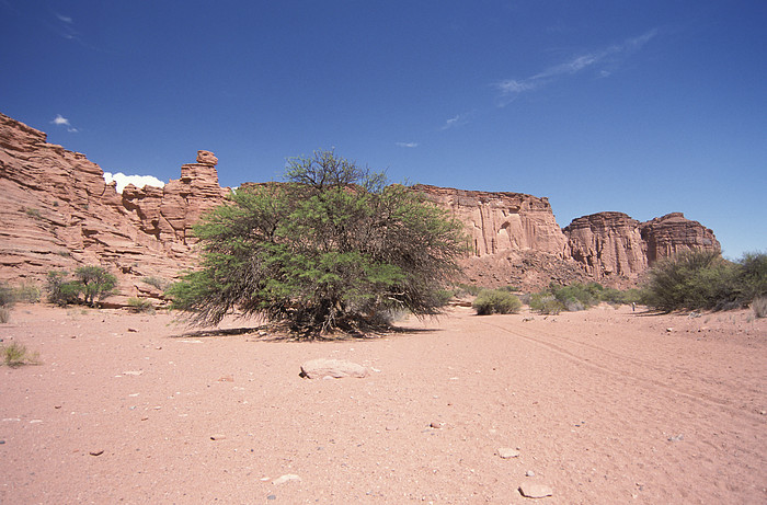 Tanampaya Schlucht