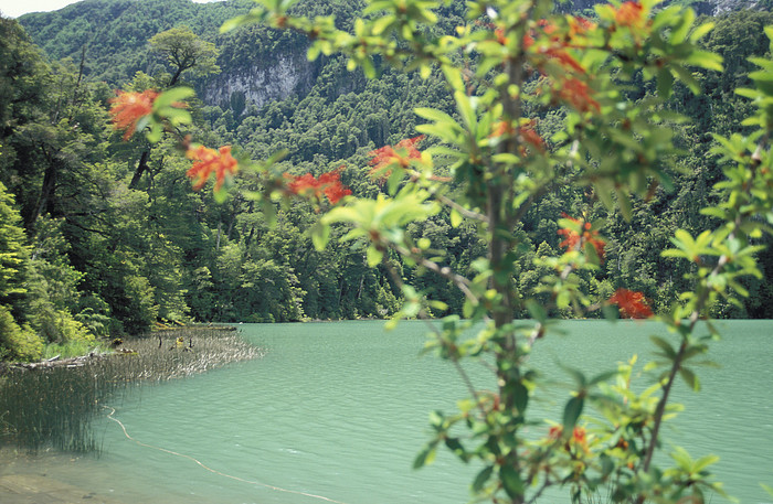 Lago Farias