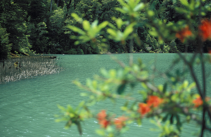 Lago Farias