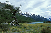 Lago Madre