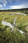 Parque National los Glaciares