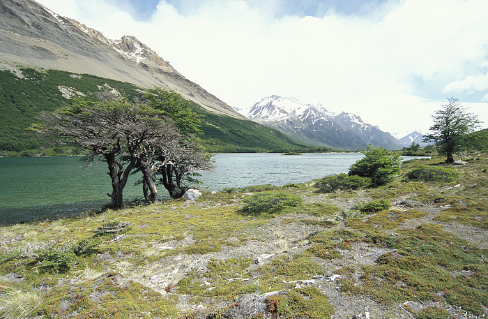 Laguna Madre